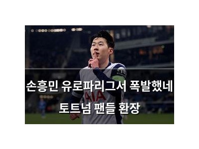 실습 손흥민 유로파리그서 폭발했네 토트넘 팬들 환장 썸네일