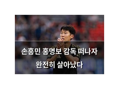 손흥민 홍명보 감독 떠나자 완전히 살아났다 강좌 썸네일