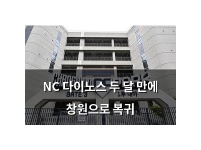 추천 강좌 NC 다이노스 두 달 만에 창원으로 복귀 썸네일