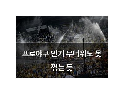 프로야구 인기 무더위도 못 꺾는 듯 썸네일