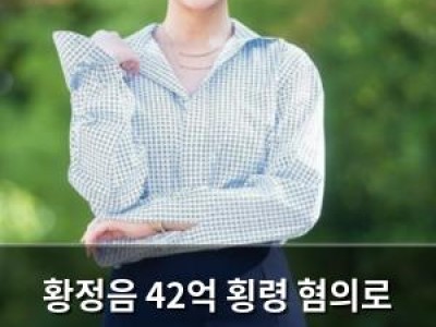 황정음 42억 횡령 혐의로 재판에 넘겨져 솔로라서 종영 앞두고 위기 강좌 썸네일