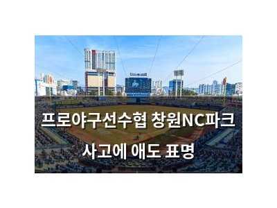 학습 자료 프로야구선수협 창원NC파크 사고에 애도 표명 썸네일