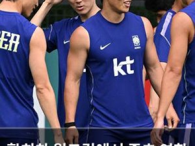 황희찬 월드컵에서 중추 역할 맡아 책임감 드러내 강좌 썸네일