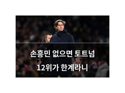 손흥민 없으면 토트넘 12위가 한계라니 썸네일