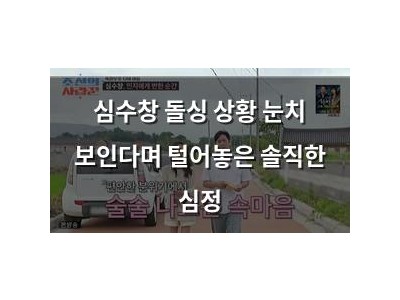 심수창 돌싱 상황 눈치 보인다며 털어놓은 솔직한 심정 썸네일