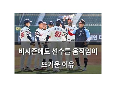 비시즌에도 선수들 움직임이 뜨거운 이유 썸네일