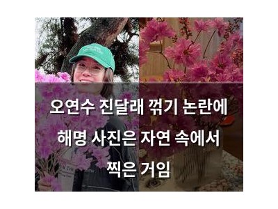 오연수 진달래 꺾기 논란에 해명 사진은 자연 속에서 찍은 거임 썸네일