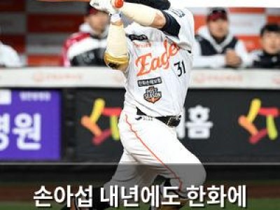 손아섭 내년에도 한화에 남을까 썸네일