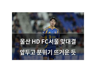 울산 HD FC서울 맞대결 앞두고 분위기 뜨거운 듯 썸네일