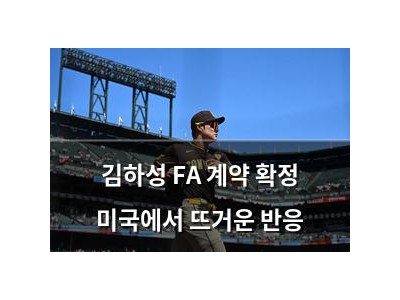 김하성 FA 계약 확정 미국에서 뜨거운 반응 썸네일