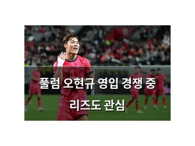 풀럼 오현규 영입 경쟁 중 리즈도 관심 썸네일