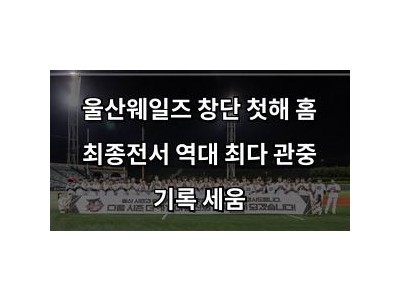 울산웨일즈 창단 첫해 홈 최종전서 역대 최다 관중 기록 세움 썸네일